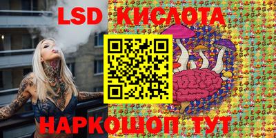 гашик Гусев