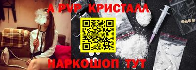 гашик Гусев