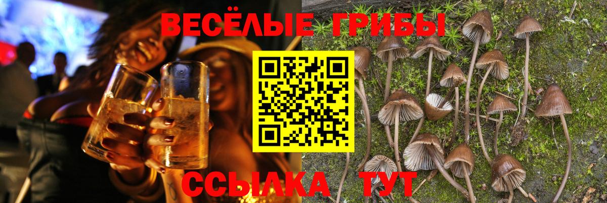 Новороссийск  Псилоцибиновые грибы Magic Shrooms  Галлюциногенные грибы прущие грибы  Вход с VPN 