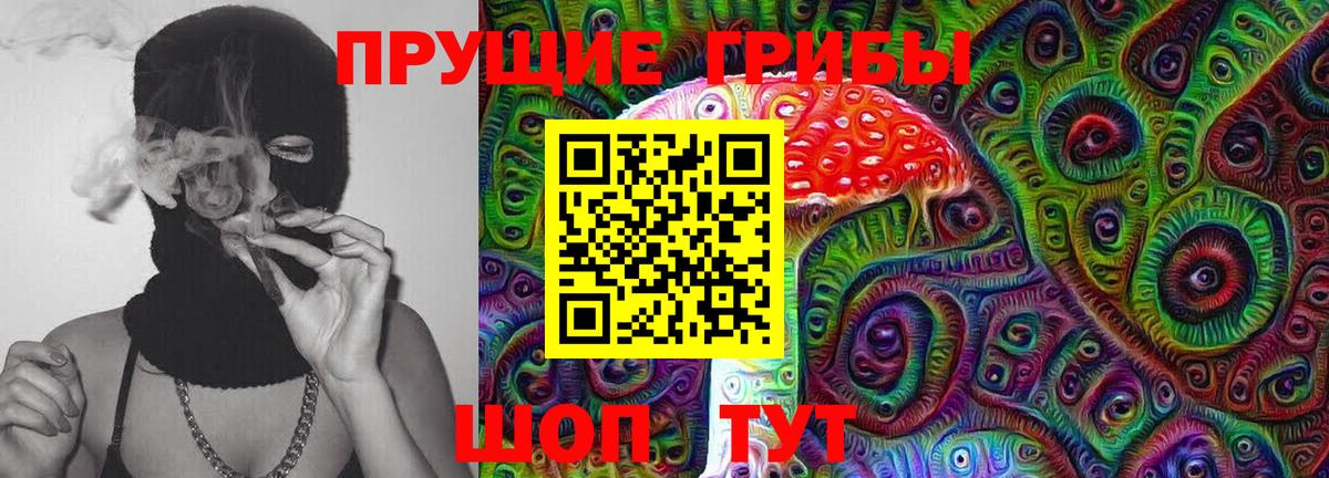 Галлюциногенные грибы мицелий Новороссийск