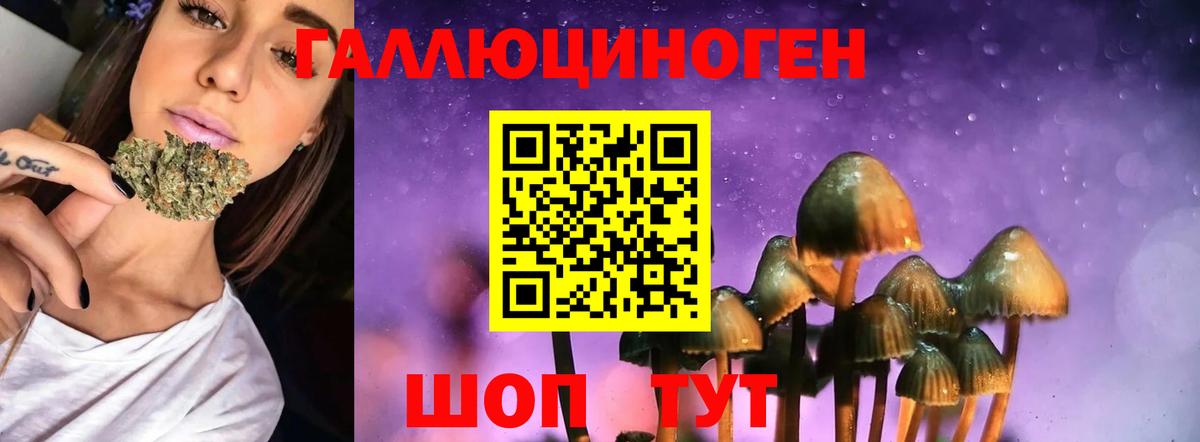 Гашиш  Вход с VPN  Alpha PVP СК кристаллы  Новороссийск  Кокаин  Каннабис  МЕТ  МЕФ кристаллы  МАРИХУАНА  LSD-25  ГАШ  Мефедрон 