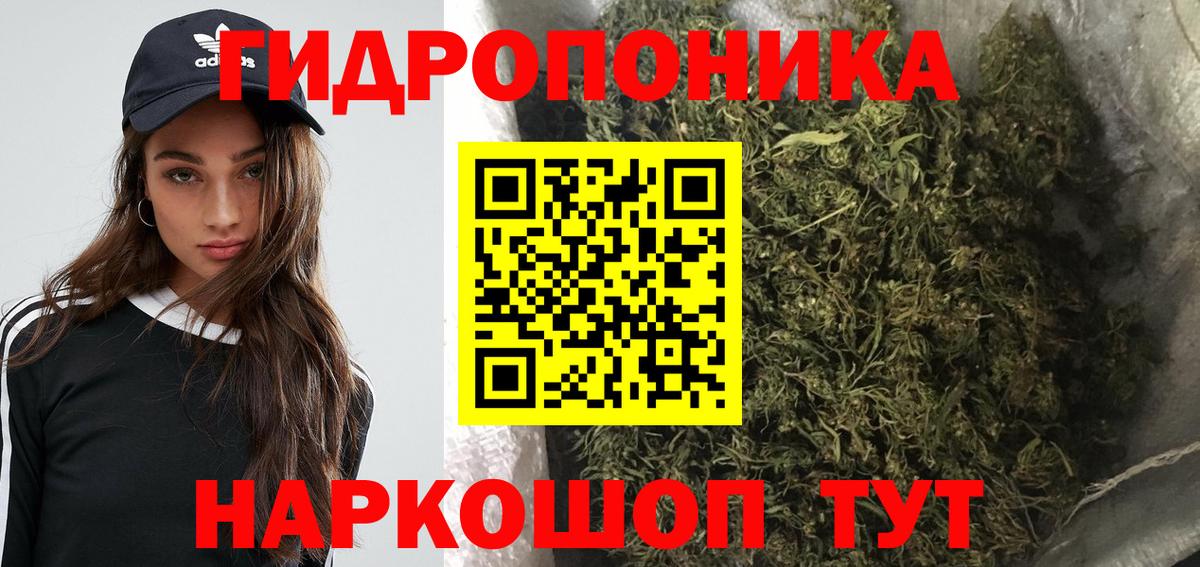 Канабис сатива  Каннабис план  Вход с VPN  Новороссийск  Канабис Bruce Banner 